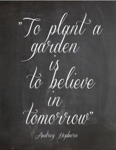 inspirational-quotes-to-plant-a-garden