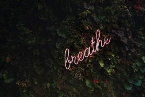 Photo Credit: Tim Goedhart via Unsplash under License